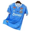 Santos FC Dragon Shirt Blauwe 2025-26