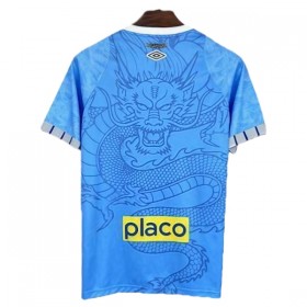 Santos FC Dragon Shirt Blauwe 2025-26