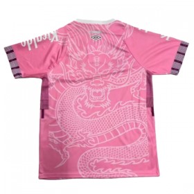 Santos FC Dragon Shirt Roze 2025-26