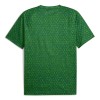 Manchester City Pre-Match Shirt Groene 2025-26