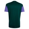 Saoedi-Arabië World Cup 2026 Groene Trainingsshirt