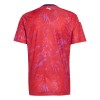 Costa Rica Thuisshirt World Cup 2026