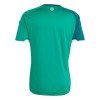 Noord-Ierland Thuisshirt World Cup 2026
