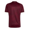 Venezuela Thuisshirt World Cup 2026