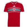 Wales Thuisshirt World Cup 2026