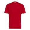 Wales Thuisshirt World Cup 2026