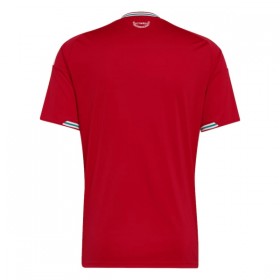 Wales Thuisshirt World Cup 2026