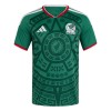 Mexico Thuisshirt World Cup 2026