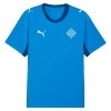 IJsland Thuisshirt World Cup 2026