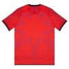 Venezia Vierde Shirt 2025-26