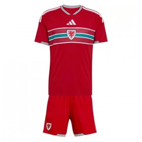 Wales Thuistenue World Cup 2026  - Kids