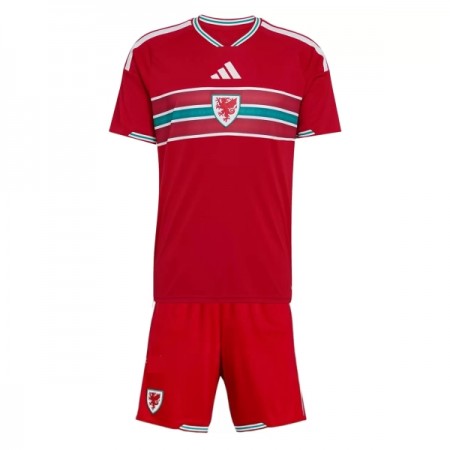 Wales Thuistenue World Cup 2026  - Kids