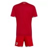 Wales Thuistenue World Cup 2026  - Kids