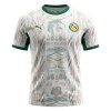 Senegal Thuisshirt World Cup 2026