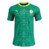 Senegal Uitshirt World Cup 2026