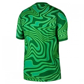 Brazilië Doelman Thuisshirt World Cup 2026 Groene