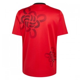 Manchester United Cultural Story Shirt 2025-26