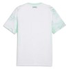 Oostenrijk Uitshirt World Cup 2026