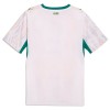 Senegal Thuisshirt World Cup 2026