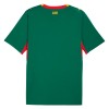 Senegal Uitshirt World Cup 2026