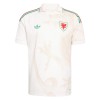 Wales Uitshirt World Cup 2026