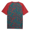 Portugal Pre-Match Shirt World Cup 2026 Rode