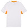 IJsland Uitshirt 2026