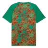Ivoorkust Pre-Match Shirt World Cup 2026