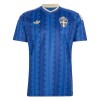 Zweden Uittenue World Cup 2026  - Kids