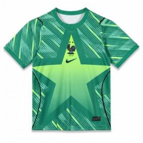Frankrijk Doelman Third Shirt World Cup 2026