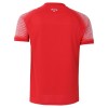 Jordan Uitshirt World Cup 2026