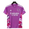 Arsenal Doelman Shirt Purper 2026-27