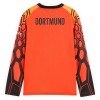 Borussia Dortmund Doelman Thuisshirt Oranje 2026-27 Lange Mouw